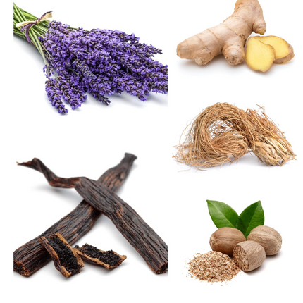 Born In Roma Uomo Intense