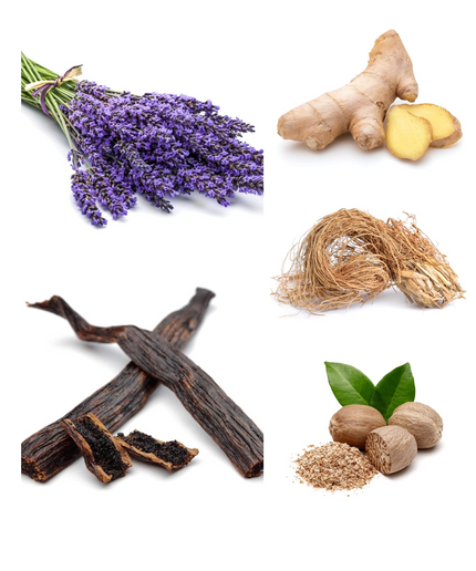 Born In Roma Uomo Intense