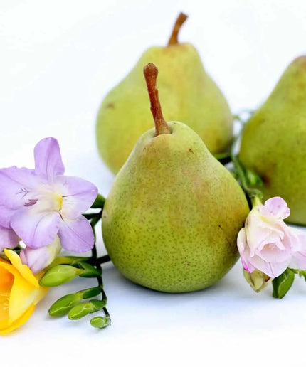 Pear &amp; Freesia