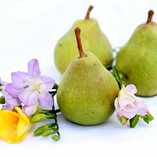 Pear &amp; Freesia