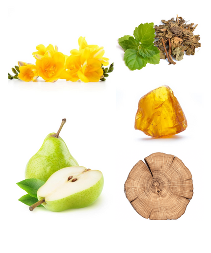 Pear &amp; Freesia